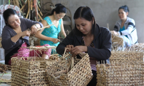 Tăng cường sự lãnh đạo của Đảng đối với công tác dạy nghề cho lao động nông thôn