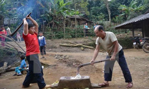 Rộn ràng không khí ngày Tết của đồng bào Mông trên đỉnh Pá Lông