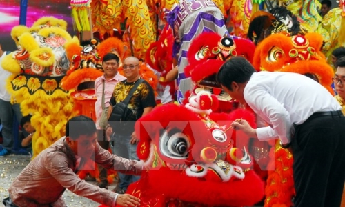 TP. Hồ Chí Minh: Tưng bừng Liên hoan lân-sư-rồng trên Phố đi bộ Nguyễn Huệ