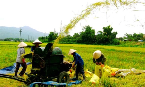 Thưởng địa phương có thành tích tiêu biểu xây dựng nông thôn mới