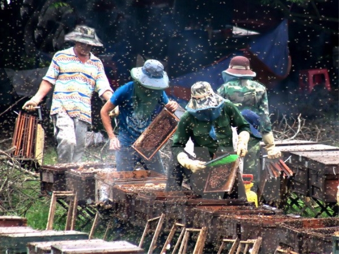 ảnh chỉ có tính minh họa