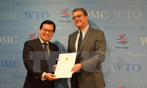 Tổng Giám đốc WTO đánh giá cao những thành tựu kinh tế-xã hội của Việt Nam