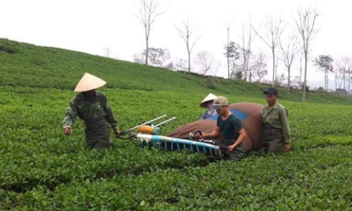 Phú Thọ: Những nỗ lực trong công tác giảm nghèo ở huyện Thanh Sơn