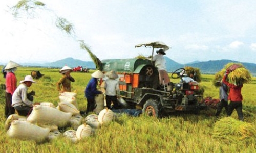 Quá trình công nghiệp hóa, hiện đại hóa nông nghiệp, nông thôn ở Việt Nam