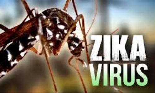 Phòng chống dịch bệnh do vi rút Zika: Giám sát chặt chẽ tại các cửa khẩu và cảng biển
