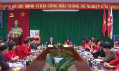 Chủ tịch nước Trương Tấn Sang làm việc với Trung ương Hội Chữ thập đỏ Việt Nam