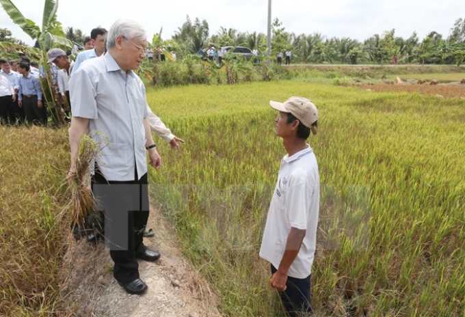 Tổng Bí thư Nguyễn Phú Trọng thăm hỏi nông dân trên cánh đồng lúa bị xâm nhập mặn ở xã Tân Thanh , huyện Giồng Chôm. (Ảnh: Trí Dũng/TTXVN)