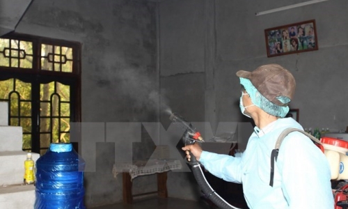 Giám sát nơi ở tại Việt Nam của bệnh nhân Hàn Quốc nhiễm virus Zika
