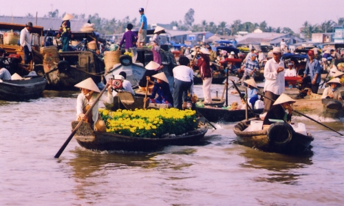 "Chống chịu khí hậu tổng hợp và sinh kế bền vững Đồng bằng Sông Cửu Long"