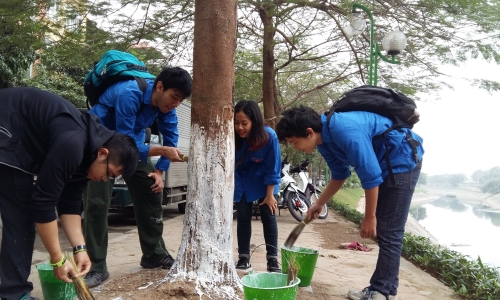 Hà Nội: Nâng cao ý thức giữ gìn vệ sinh môi trường từ các hoạt động tình nguyện