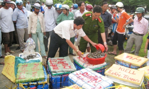 Tăng cường quản lý nhà nước về an toàn thực phẩm