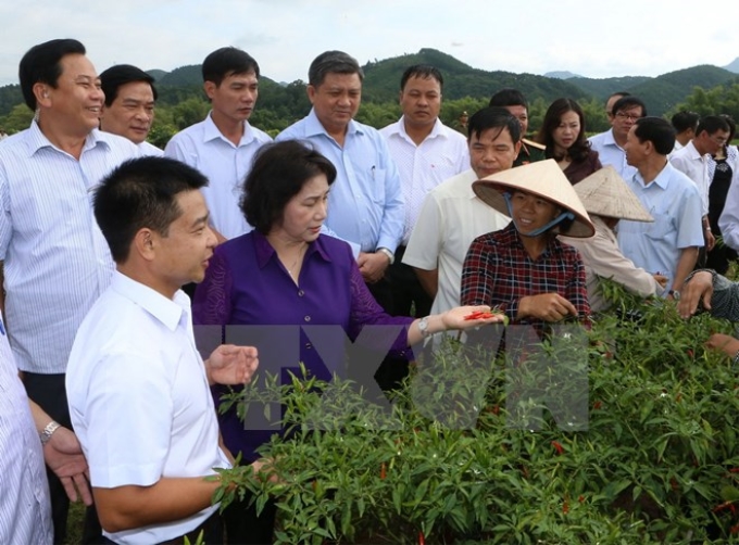 Chủ tịch Quốc hội Nguyễn Thị Kim Ngân thăm mô hình cánh đồng trồng ớt tại thôn Bắc Đông 2, xã Gia Cát, huyện Cao Lộc, tỉnh Lạng Sơn. (Ảnh: Trọng Đức/TTXVN)