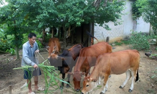 Thành lập Hội đồng thẩm định Chương trình giảm nghèo bền vững