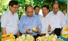 Thủ tướng Chính phủ Nguyễn Xuân Phúc làm việc tại tỉnh Đồng Tháp