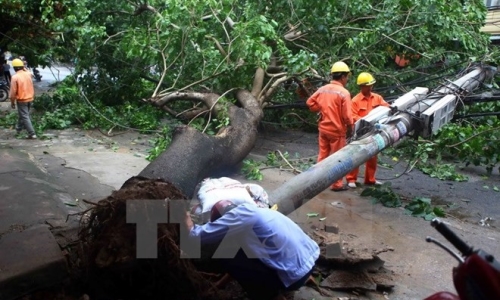 Bão số 1 làm ba người chết và mất tích, 10 người bị thương