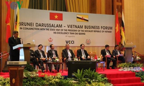 Chủ tịch nước dự Diễn đàn Doanh nghiệp Việt Nam-Brunei