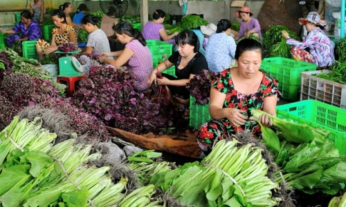 Long An - Thành phố Hồ Chí Minh phối hợp hỗ trợ nông dân tham gia xây dựng nông thôn mới