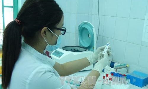 Bệnh nhân nhiễm Zika ở Nhật Bản không phải người Việt