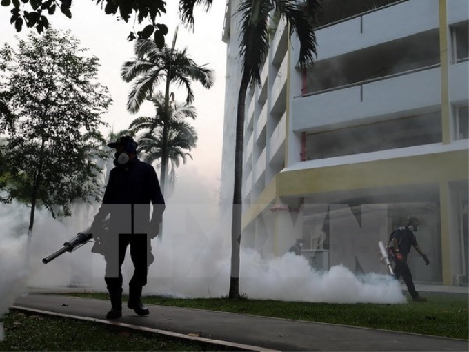 Phun thuốc diệt muỗi ở một khu dân cư tại Singapore. (Nguồn: AFP/TTXVN)