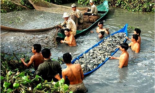 Cà Mau phát triển làng nghề ven biển tạo việc làm cho hàng ngàn lao động