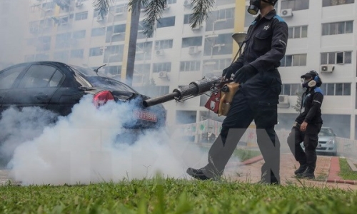 Singapore phát hiện một ổ dịch phát tán virus Zika mới