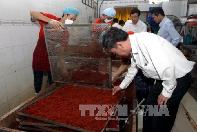 Đoàn liên ngành an toàn thực phẩm kiểm tra cơ sở sản xuất khô bò tại quận Bình Tân, TP Hồ Chí Minh. Ảnh: Phương Vy/TTXVN