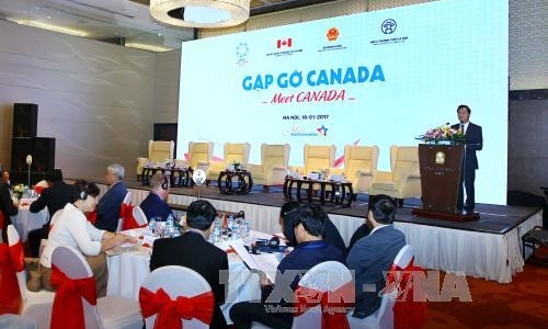 Việt Nam-Canada tăng cường hợp tác hiệu quả, thực chất và bền vững