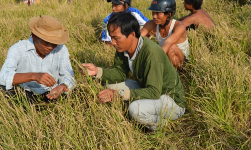 Thành phố Hồ Chí Minh: hơn 10,5 tỷ đồng hỗ trợ nông dân có hoàn cảnh khó khăn