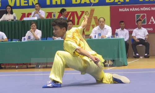 Hơn 300 vận động viên dự Giải vô địch cúp Wushu quốc gia 2017