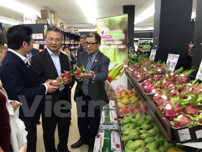 Đại sứ Ngô Hướng Nam thăm quầy trưng bày thanh long Việt Nam tại Siêu thị trung tâm ở chợ Footscray ở Melbourne, Australia. (Ảnh: Vietnam+)