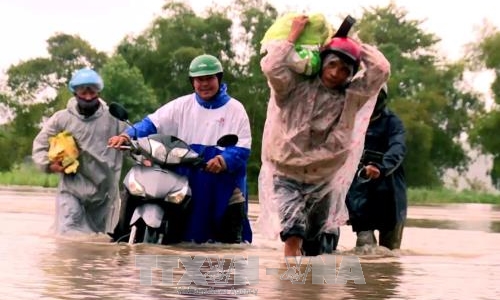 Các địa phương chủ động ứng phó với áp thấp nhiệt đới