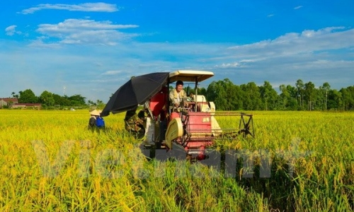 Thúc đẩy phát triển nông nghiệp bền vững, thích ứng biến đổi khí hậu