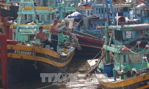 Ứng phó với bão số 12: Rà soát, xây dựng phương án sơ tán dân ra khỏi vùng nguy hiểm