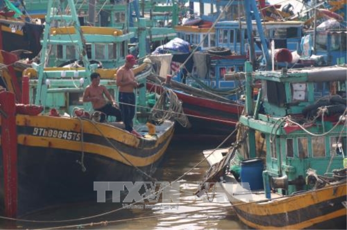 Ngư dân chằng chống tàu thuyền neo đậu trú bão trên sông Cà Ty, Phan Thiết. Ảnh: Nguyễn Thanh/TTXVN