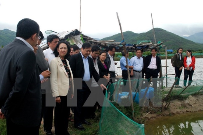 Trưởng Ban Dân vận Trung ương Trương Thị Mai tìm hiểu mô hình nuôi tôm hùm xen cua biển ở xã Xuân Lộc, thị xã Sông Cầu. (Ảnh: TTXVN)