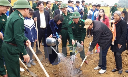 Phó Chủ tịch nước tham gia Tết trồng cây tại tỉnh Hòa Bình