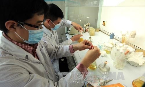 Việt Nam chia sẻ kinh nghiệm về ứng dụng y học hạt nhân trong khám, chữa bệnh
