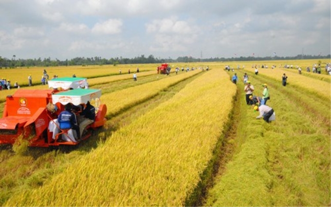 Trong quý III năm 2017, các bộ phải trình đề xuất sửa đổi chính sách đất đai, tạo thuận lợi cho tích tụ, tập trung ruộng đất, mở rộng hạn điền.