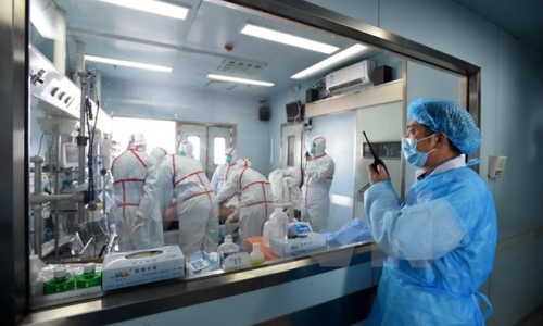 Nguy cơ lây lan cúm gia cầm H7N9 giữa người và người là thấp