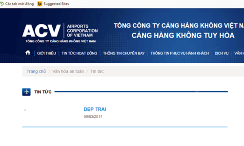 Website cảng hàng không bị sập: Không phải là tấn công có chủ đích