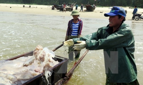 Người dân Hà Tĩnh, Thừa Thiên-Huế một năm sau sự cố Formosa