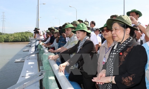 Các đại biểu IPU thực địa về tác động của biến đổi khí hậu ở Cần Giờ