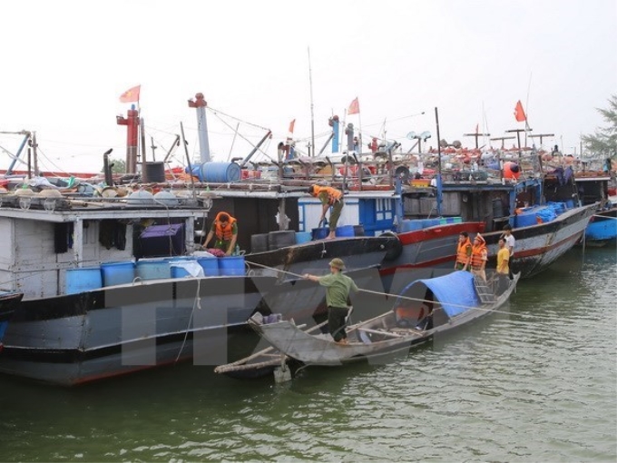 Tàu neo đậu tránh bão. (Ảnh minh họa. Nguồn: TTXVN)