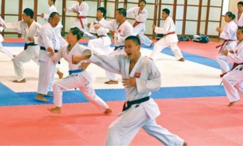 Đề xuất điều kiện chuyên môn tổ chức tập luyện Karatedo