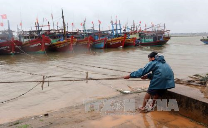 Người dân giằng néo tàu thuyền tại âu thuyền Cửa Việt (Quảng Trị) để tránh bão số 4. Ảnh: Quang Quyết/TTXVN