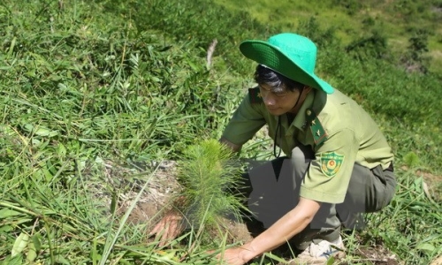 Việt Nam cam kết thực hiện thành công mục tiêu phát triển bền vững