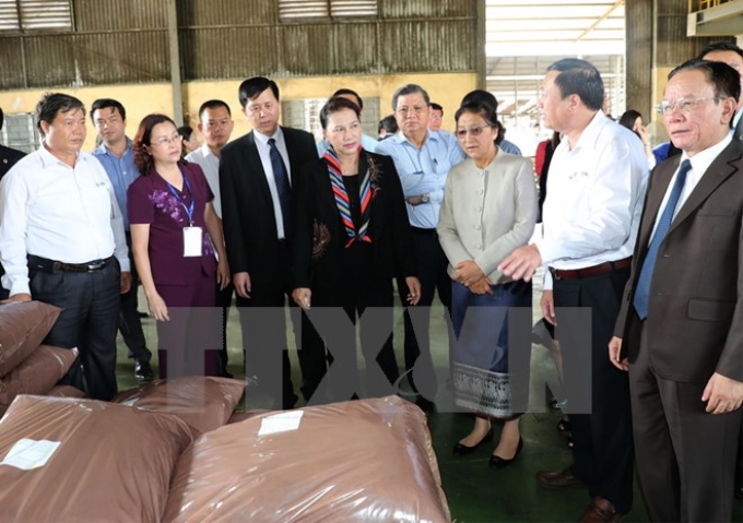 Chủ tịch Quốc hội Nguyễn Thị Kim Ngân và Chủ tịch Quốc hội Lào Pany Yathotou thăm khu nguyên liệu. (Ảnh: TTXVN)