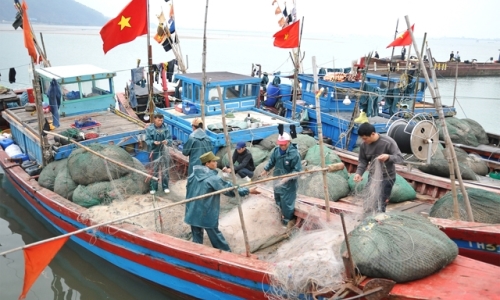 Cơ bản hoàn thành việc chi trả bồi thường thiệt hại do sự cố môi trường biển tại 4 tỉnh miền Trung