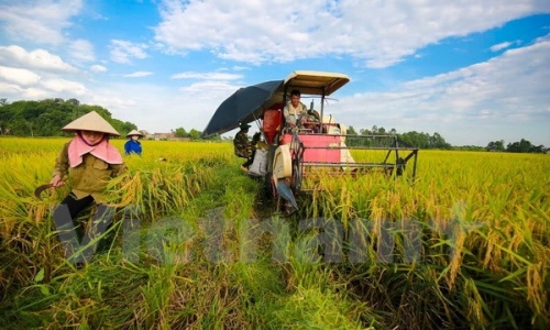 Thủ tướng đốc thúc thực hiện giải pháp phát triển kinh tế-xã hội