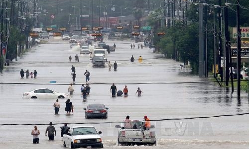 Hồi chuông cảnh báo từ siêu bão Harvey